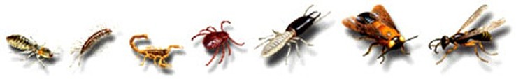 Pests Pests
